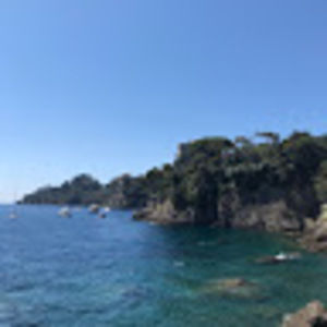 Meet your Posher, Nolan